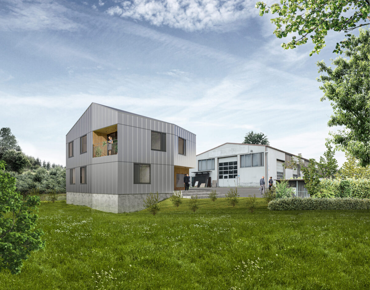 neubau bürogebäude krauchenwies – architektur visualisierung neubau modernes einfamilienhaus mit garten